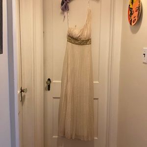 Shimmery gown